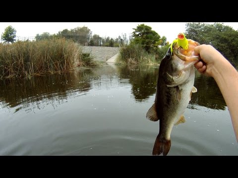 GoPro: Hiroaki Tada - Best Catch 6.19.15 - Fish