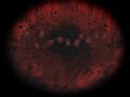 Klasky Csupo Lost Episode Variant Noedolekcin JUMPSCARE WARNING