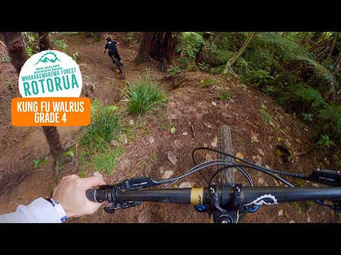 A trail that always delivers! Kung Fu Walrus - Rotorua