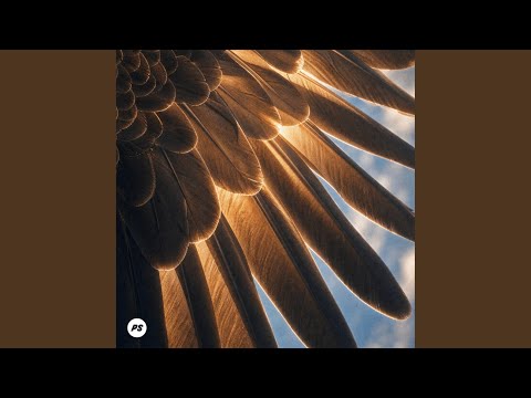 Beneath Your Wings (Live)