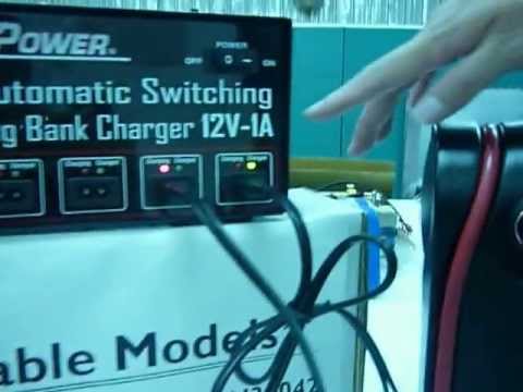 Multi battery Charger, fully automatic, intelligent charger