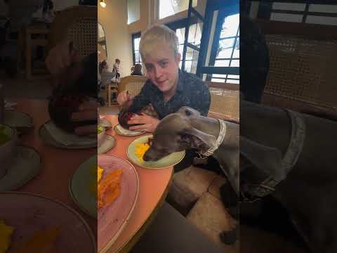 JEDWARD - 22/01/2024 #jedward