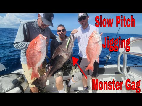 Slow Pitch Jigging | Gag Grouper & Red Snapper | How to Select a jig on the water | JohnnyJigs