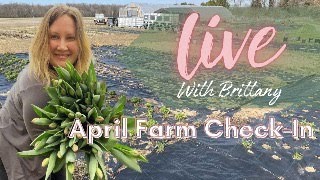 Live with Brittany! // April Farm Check-In // Green Bee Floral Co.