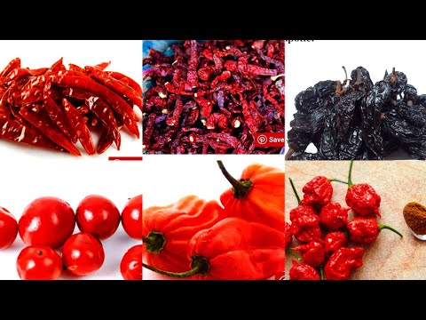 Top 15 Chilli pepper varieties Around the world /Types of chilli /Chilli  @youtubetrendingno1