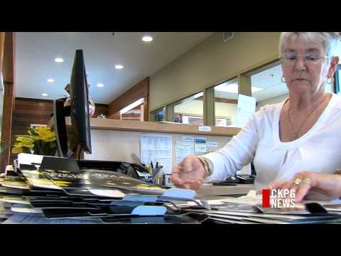 Daffodils A Symbol of Hope