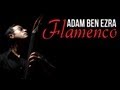 FLAMENCO - Double Bass (+Feet) Solo - Adam Ben ...