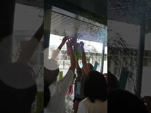 【七夕】ササにネガイを！【おかがく＊おかたん】 #Shorts