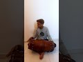 When nature calls | Shanka Tribe | 6091 | a Mridangam cover by Gokul R