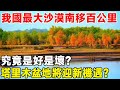 我國最大沙漠南移百公里，究竟是好是壞？ 塔里木盆地將迎新機遇？ 超級工程 科普 建造 中國基建 沙漠工程