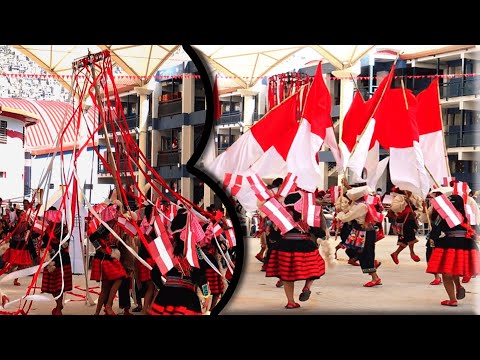 ✅ Danza qashua puka kanchis de umachiri 🎷