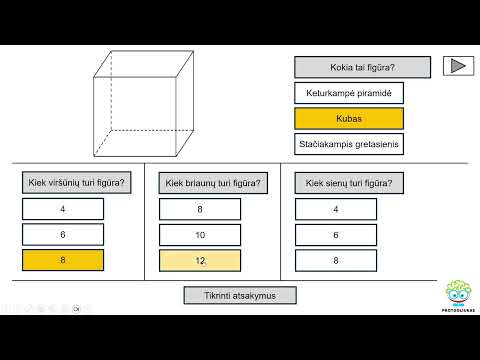 Erdvinės figūros ir jų savybės (Nr. 228)