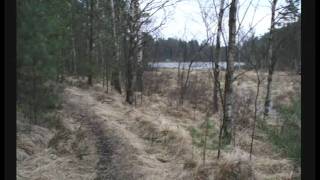 preview picture of video 'Vandring öster om Bergsjön 2007'