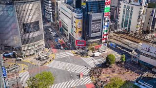 Plante Moran's new Tokyo office