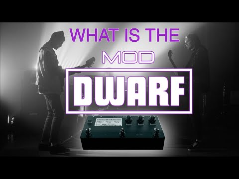 MOD Dwarf - Standalone Audio and MIDI Processor image 15