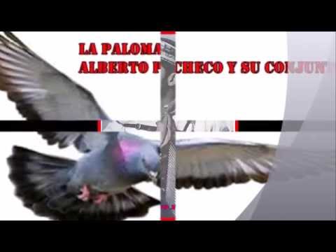 LA PALOMA . ALBERTO PACHECO Y SU CONJUNTO
