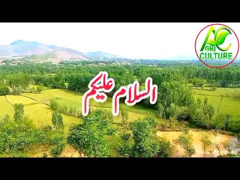 Zarat Nama. Zamindar ky falah wa bahbood channel. please watch the video. Agriculture information
