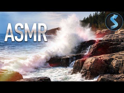 Nature’s Raw Power in Motion | Nature Documentary | Full Movie | Acadia Sights & Sounds