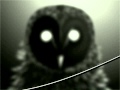 I Love You But I've Chosen Darkness  - The Owl.flv