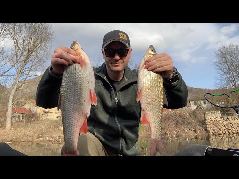 Pecanje Skobalja na hleb - DRINSKI SKOBALJI SA NISAVE - Ribolov na plovak