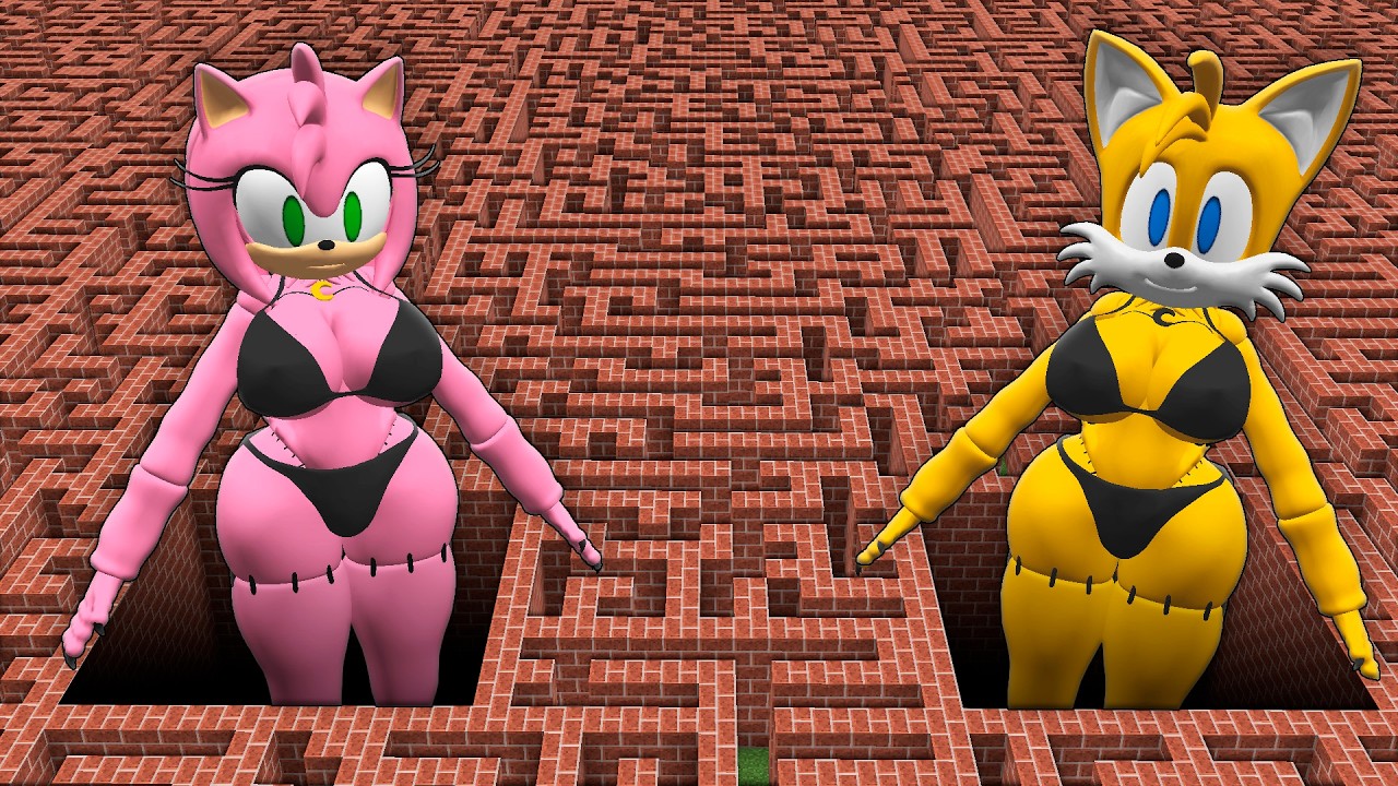 I found a SONIC AMY vs SONIC TAILS in Minecraft ! What's INSIDE the BIGGEST MAZE ?