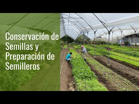 , title : 'Conservación de Semillas y Semilleros - Conserve las Semillas de sus Cultivos y Prepare Semilleros'
