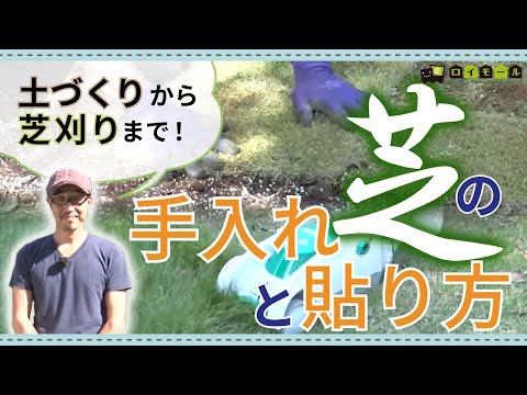 木灰入り雑草 2022