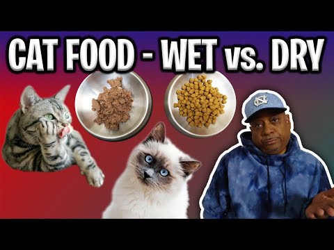 Cat Food - Wet vs. Dry | Cool Cats & The D.E.V.