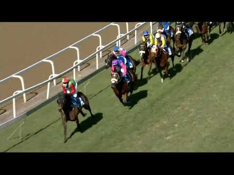 2021.07.03 Gold Vase (RSA) - Nebraas