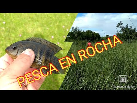 Pesca en Rocha