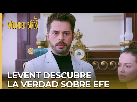 Levent discovers the truth about Efe | Omer Stolen Dreams Chapter 200