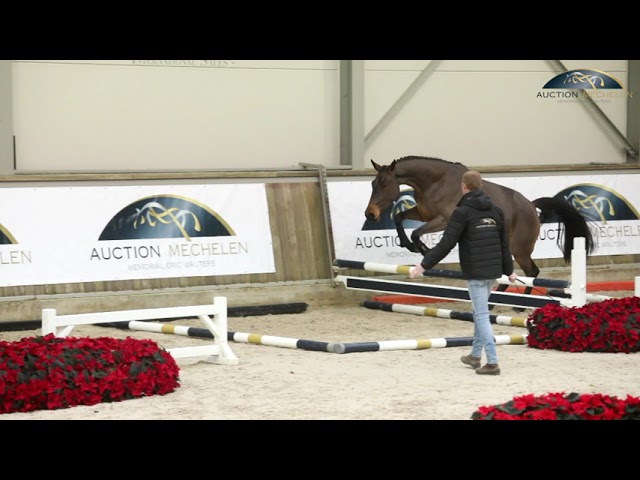 I'm Really Special EVH Z