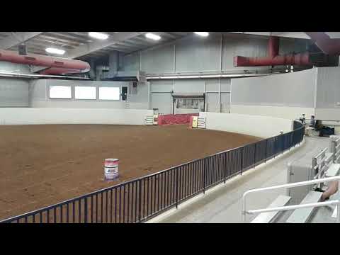 Emily & Bazinga 081017