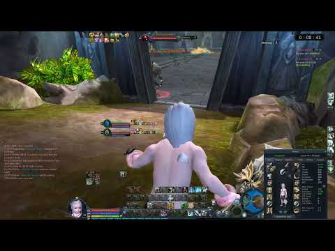 Aion Classic EU - lv44 Templar: Asteria Dou, 1 box, 2 rooms for loot - TEST -