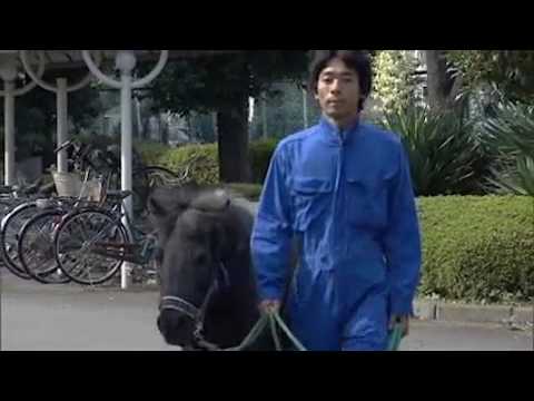 麻布大学動物飼育エリアー 日常の仕事