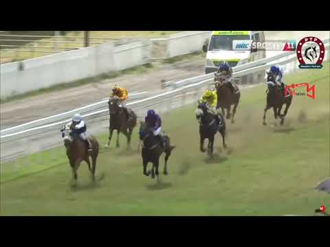 Hippisme: Cédric Segeon et Vicky Ruhee dominent la 21e journée avec un triplé