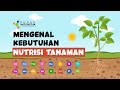 Mengenal Kebutuhan Nutrisi Tanaman