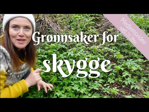Grønnsaker for skygge