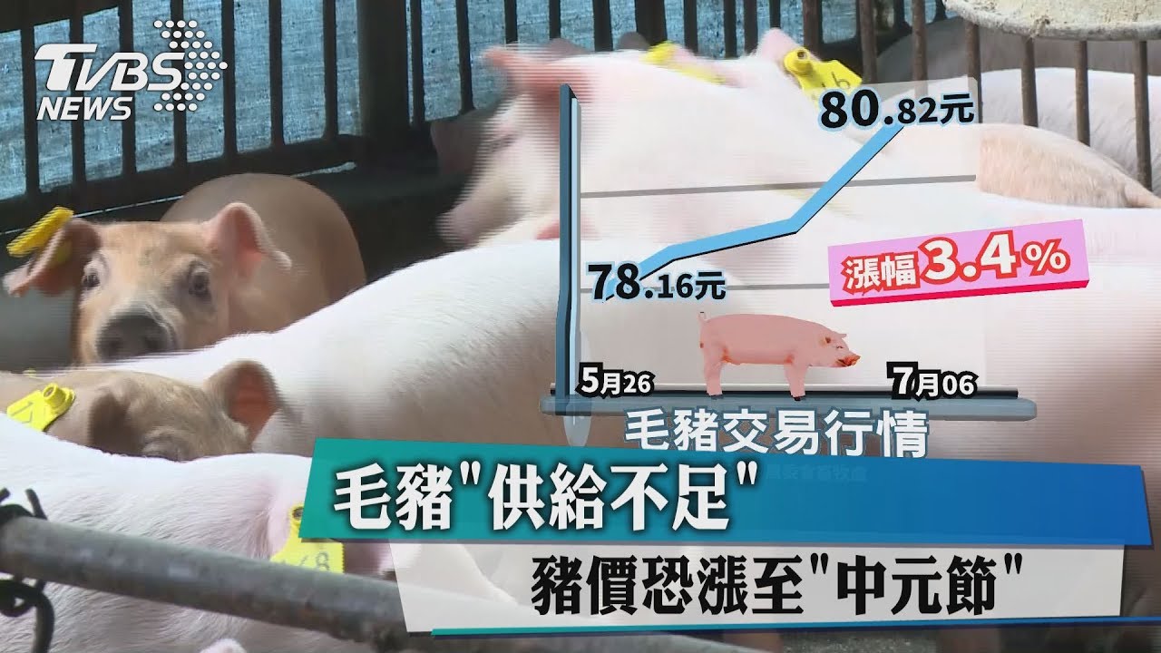 「毛豬」供給不足　豬價恐漲至中元節
