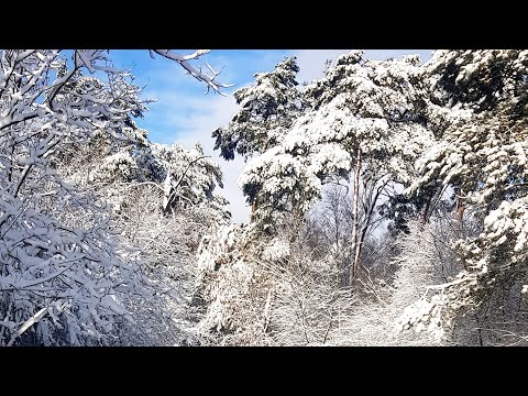 Draker WGW - Bez pierdolenia (Official Video)