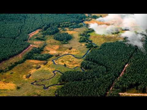 Ukraine 2021 2K│Chervonta ruta │Nazariy Yaremchuk, Volodymyr Ivasyuk, Vasyl Zinkevych