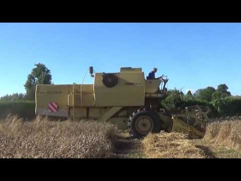 Landb. Everaert G - Assenede - maaidorsen - Clayson 1545