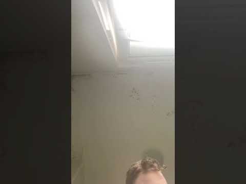 Rachel, top comes off on water board ride!  