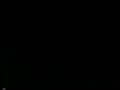 Opening To The Many Adventures Of Winnie The Pooh 1996 VHS WDMC Print Previews Version