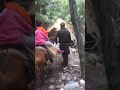Hourse Riding From Upper Fairy Meadow Fairymeadows Kkhg Lahore Instagram Facebook River