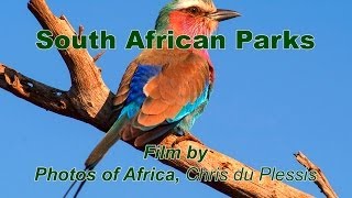 SAN Parks - South Africa Travel Channel 24