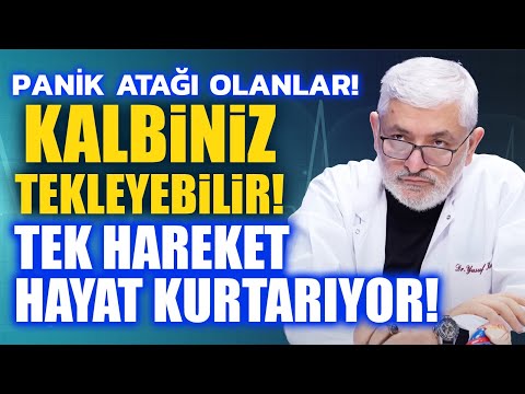 Yusuf Kalko - Prof. Dr. Yusuf KALKO