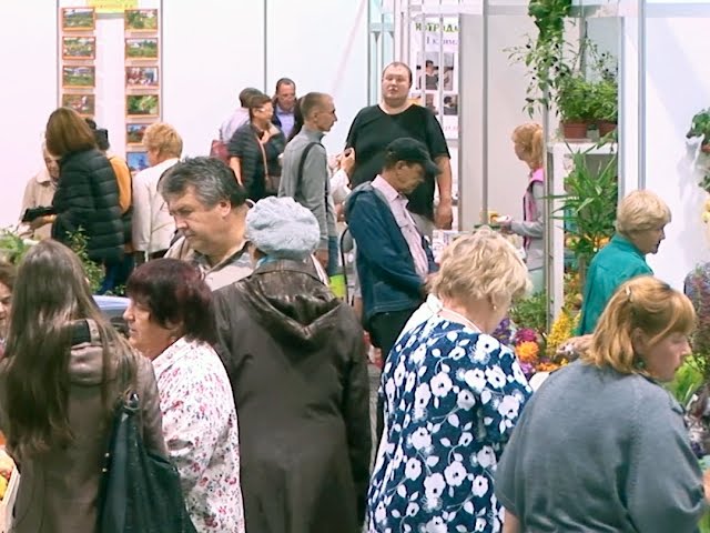 Дачный сезон на зависть