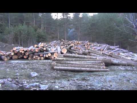 Fiks Fare Highlights, 07/01/2016 - Pjesa 2