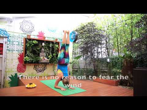 Parada de Antebrazos (Pincha Mayurasana)  con Andrea Chehebar en 108 Yoga